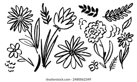 Manzanilla dibujada a mano. Tinta dibujando plantas silvestres. Flores, hierbas y plantas, ilustración de línea botánica rugosa. Pintura negra. Elementos florales de margarita 