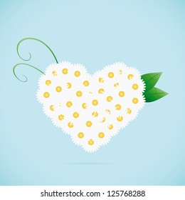 Chamomile heart. Vector illustration