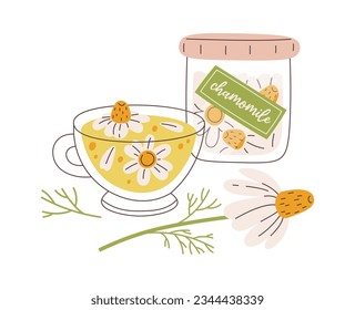 Chamomile Herbal Tea Composition Vector Illustration