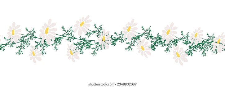 Chamomile horizontal border seamless pattern. Floral seamless border