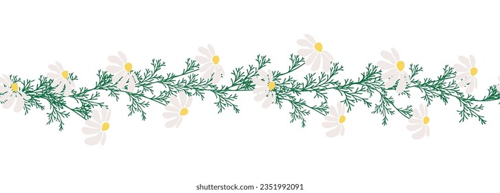 Chamomile horizontal border seamless pattern. Floral seamless border