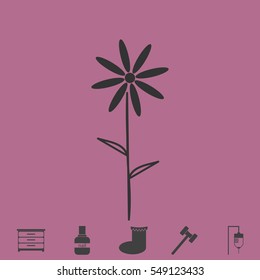 Chamomile icon flat. Simple vector grey pictogram and bonus symbol