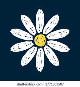 Chamomile icon. Hand drawn vector flat graphic illustration. Isolated object on a blue background. Isolate.