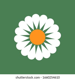 Chamomile icon. Isolated daisy on green background, abstract simple flower design. Modern minimal design. Vector illustration perfect for creating collages, design of banners, greeting cards etc.