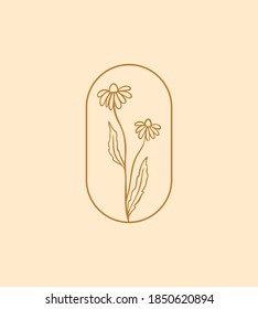 Chamomile Icon Logo. Wildflower Linear Label Sketch. Daisy Frame Emblem For Branding. Outline Vintage Hand Drawn Herbs. Modern Simple Style. Vector Illustration Isolated On Background.