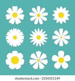 Chamomile icon. White daisy set. Camomile flowers. Different petals. Cute round flower head plant. Growing concept. Love card. Simple abstract sign symbol shape. Flat design. Green background. Vector