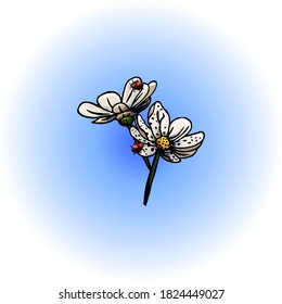 Chamomile with a ladybug on a blue gradient, cartoon style, chamomile, blue, isolated on white, Ladybug, insect, petals, bloom, summer, postcard, congratulations, garden, dots, flowers vector, glowing