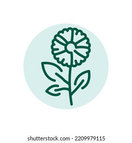 Icono с línea de color Chamomile. Pictograma para página web.