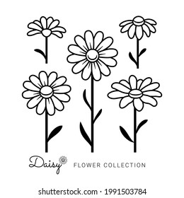 Chamomile line icons. Flower Daisy vector illustration. Thin sign for design logo, patterns, prints