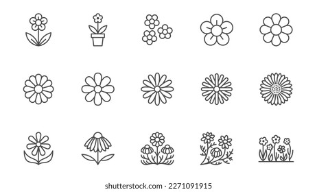 Chamomile line icons set. Daisy flower, echinacea vector illustration. Outline signs for camomile tea. Editable Stroke