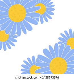 
chamomile. medicinal flowers. Background of daisies.