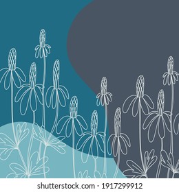 Chamomile minimal background. Hand drawn line wild flower and abstract blob shapes, herbal meadow plant, modern floral template for social media posts, vector botanical illustration pink, blue colors