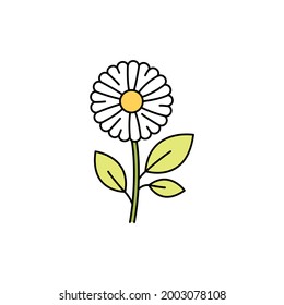 Icono de la línea de color Chamomile. Aceites esenciales. Pictograma para página web, aplicación móvil, promoción.