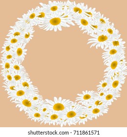 Chamomile on a beige background