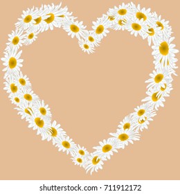 Chamomile on a beige background