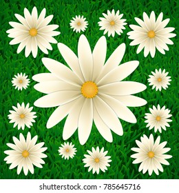 Chamomile on the lawn. a composition of daisy flowers on a background of green grass.
