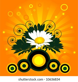chamomile on orange-sun background