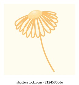 Chamomile in one line drawing style. Mustard color floral poster for print, emblem, template. Flat vector illustration of medicinal plant echinacea. Thin line sign for herbal medicine logo.