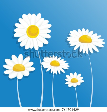 Chamomile. Paper flower. White flower cut from paper on a blue background. Wedding decorations. Wedding lace. Template greeting card, blank floral wall decor. Background.