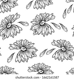 chamomile pattern graphic black white on white background isolate texture print seamless background vector illustration summer petals wallpaper