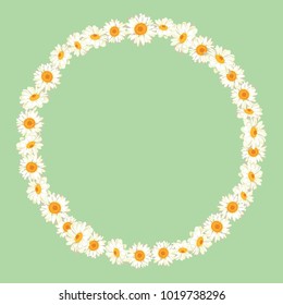 Chamomile pattern on green background. Daisy chain. Round frame for your text or photo. Vector illustration.