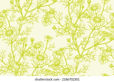 Chamomile.  pattern. Suitable for fabric, wrapping paper and the like. In style Toile de Jou.