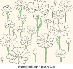 Chamomile pattern, This pattern can be used for packaging or for decorating digital wallpapers on social media.