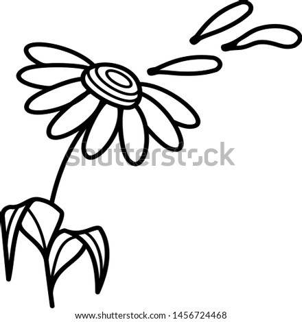 Chamomile with petals on inflorescence and cut off icon in outline style. Coloring template for modification and customizing  according to a specific task.
