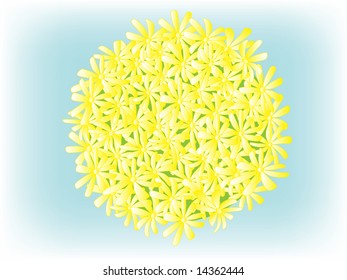 chamomile planet. vector