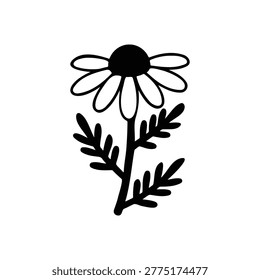 Chamomile Plant silhouette icon vector flat design.