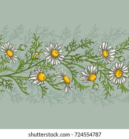 chamomile plant vector pattern on color background