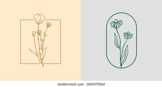 Chamomile and Poppy icon logo set. Wildflowers linear label sketch. Daisy frame emblem for branding. Outline vintage hand drawn herbs. Modern simple style. Vector illustration isolated on background.