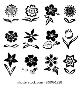 Chamomile, primula,  anemone, tulip, gowan, orchid, dog-daisy, petunia flower set. Spring flowers. Black cutout silhouettes on white background.  Isolated symbols of flowers and leaves. Vector