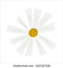 Chamomile in scandinavian style isolated on white background.Spring and summer flower with petals. Vector illustration in flat style for kids design.