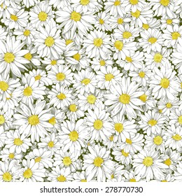 Chamomile seamless pattern.