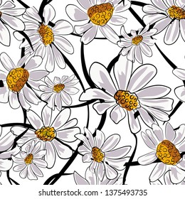 Chamomile seamless pattern. Illustration on white background