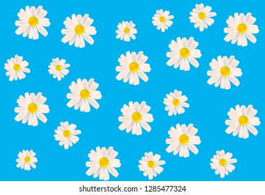 Chamomile seamless pattern on blue sky color background - daisy flower for greeting card design, spring poster or flyer