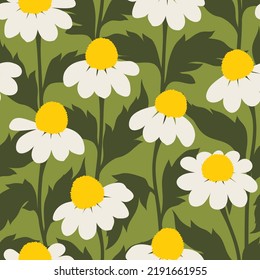 Chamomile seamless pattern on green background. Ready to print in cmyk color mode.

