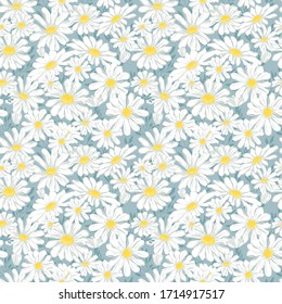 Chamomile seamless pattern. Vector illustration of endless flowers.