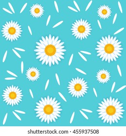  Chamomile. Seamless vector pattern. Floral background.