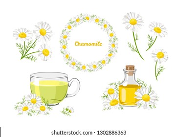 Chamomile set. Bouquet, wreath, tea and chamomile oil isolated on white background. Vector illustration of white daisy flowers in cartoon flat style.