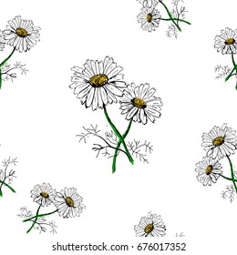 Chamomile, sketch drawing with hands seamless pattern