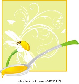 Chamomile and spoon with floral honey. Vector