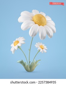 Chamomile, spring flower. 3d cartoon vector icon