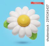 Chamomile, spring flower. 3d vector cartoon icon