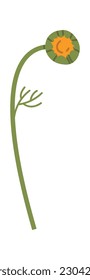 Chamomile Stem With Bud Vector Illustration