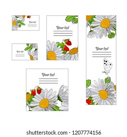 Chamomile and strawberry card set. Vector illustration