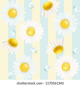 Chamomile. Chamomile striped background. Wallpaper. Background. Textile. Pattern seamlessly repeating of pearls and chamomile