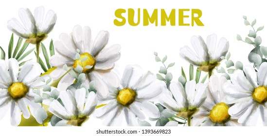 Chamomile summer background Vector watercolor. Vintage flowers white colors. Delicate frame decor