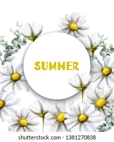 Chamomile summer card Vector watercolor. Vintage flowers white colors. Delicate frame decors
